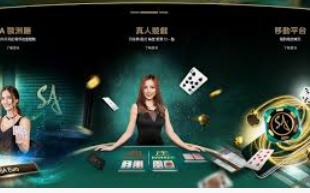 BET365官方网站手机版
